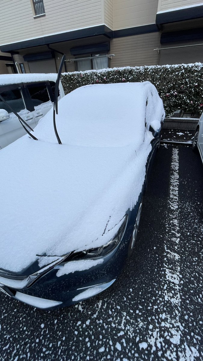 nishihigassi's tweet photo. 降ったね〜

それにしても、雪降る深夜に2人はいったいどこ��。 https://t.co/mrxw0llJFz