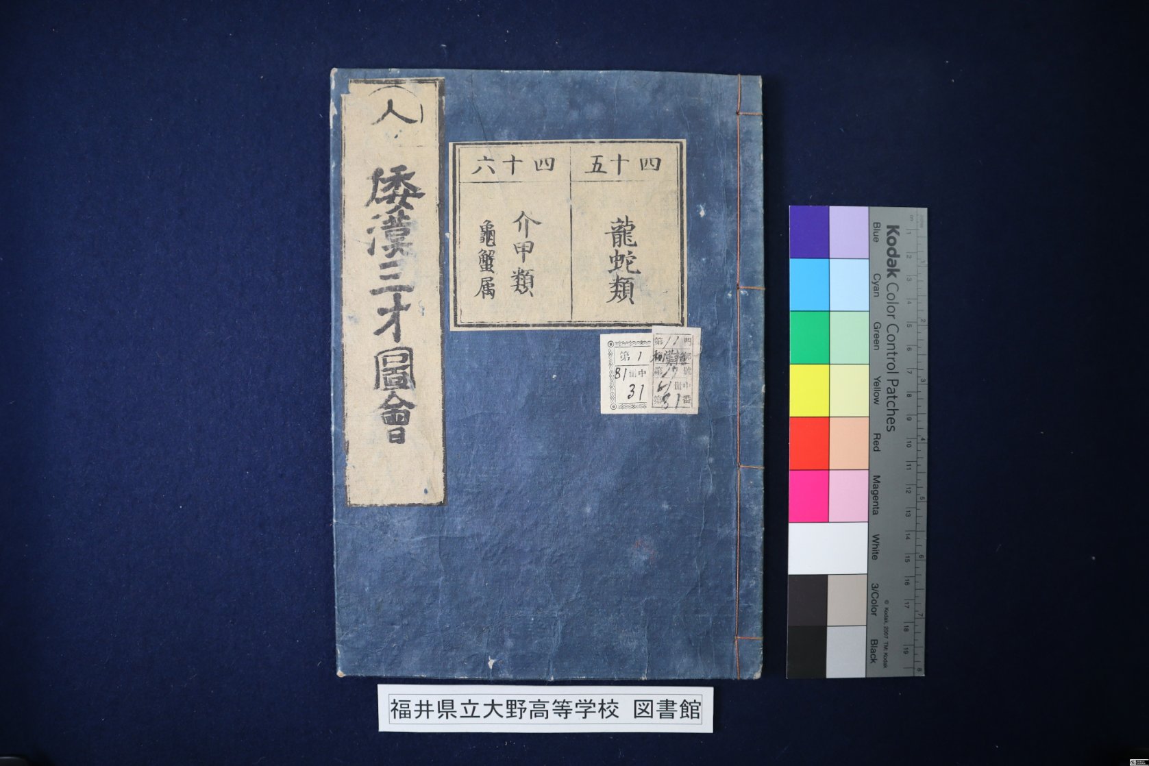 福井県文書館 on X: 
