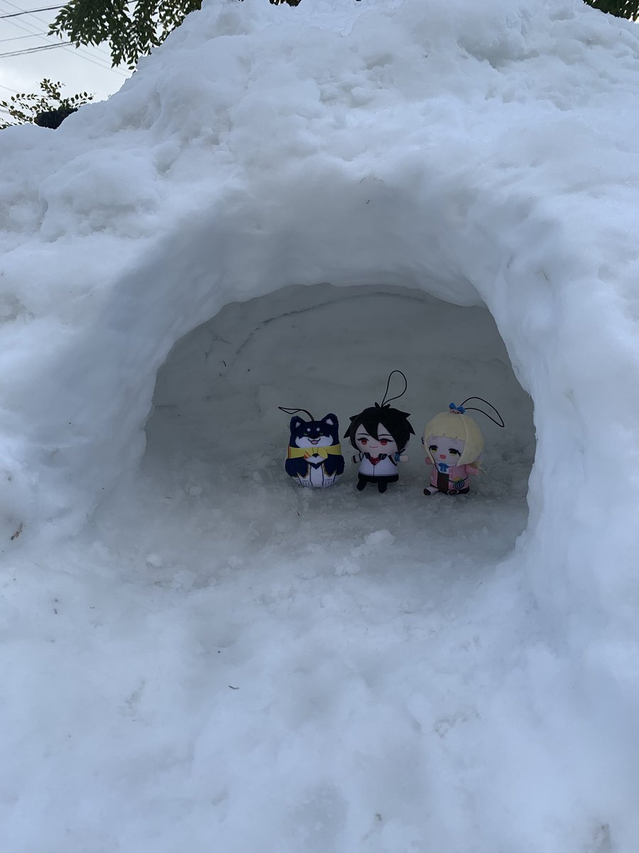 ぱぺたち、かまくらだよ