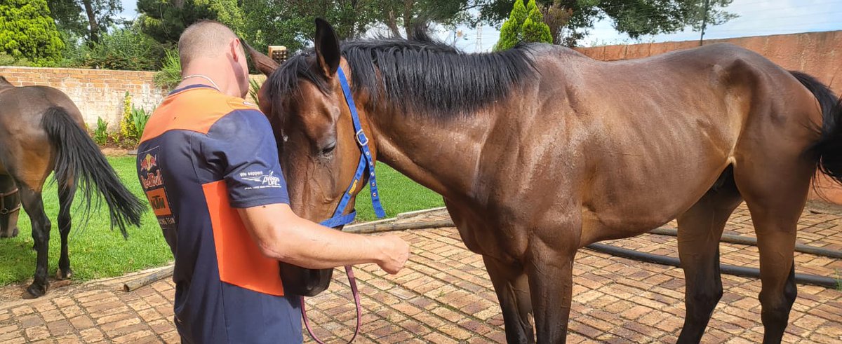 Love my huge animal.❤️