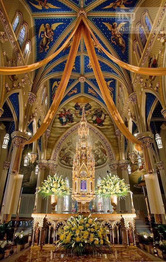 PapistDirectory's tweet photo. Go Fighting Irish!

Keep the Faith! https://t.co/kz95783FFe