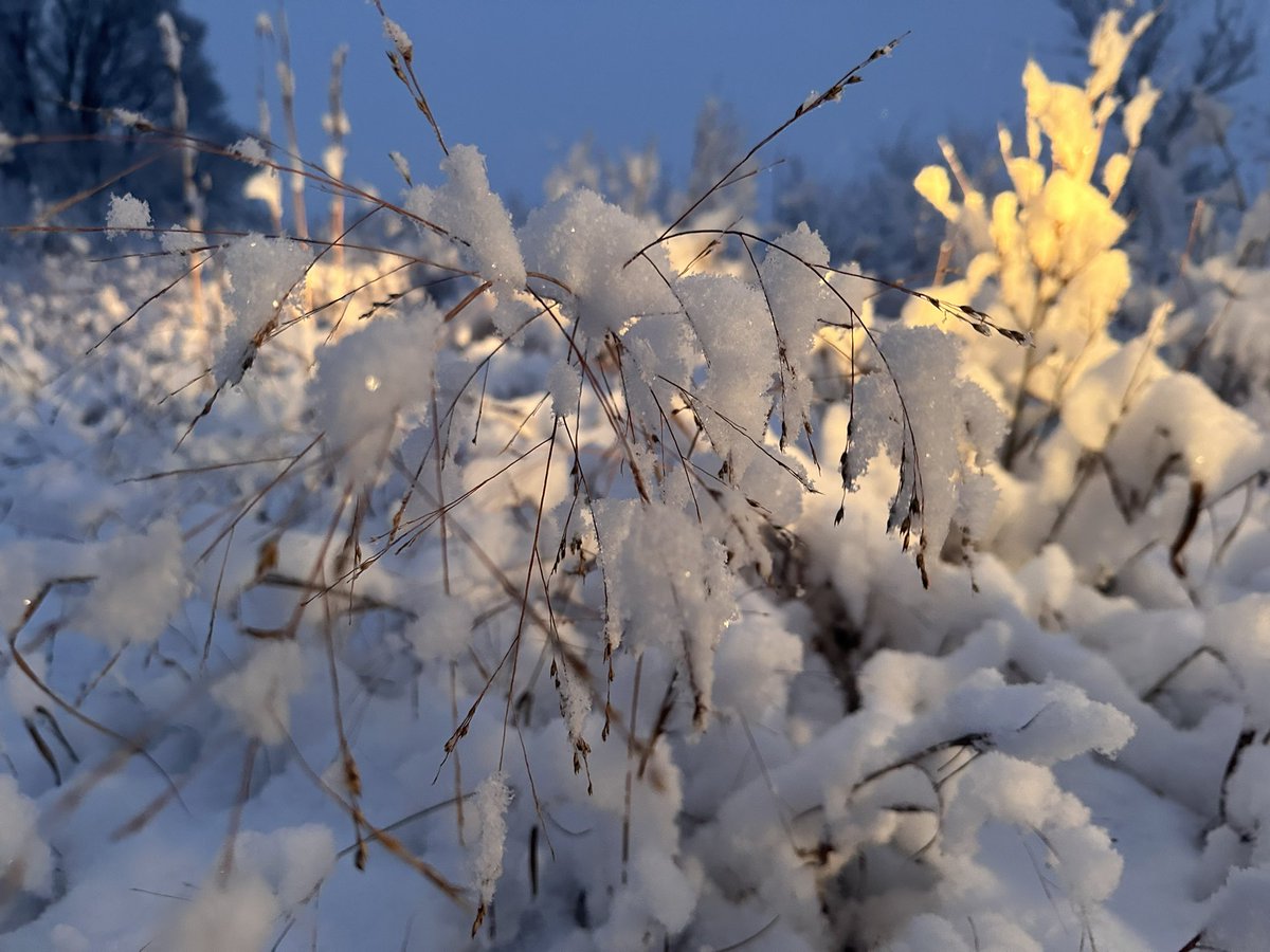 So about the roads in south central Kansas, and by that I mean, what roads.
Glad I made it home before dark because the difference between ditch and pavement is blurred. #KSWX

Right at 3.5 inches of snow 8 miles south of Cheney as of 6 p.m..