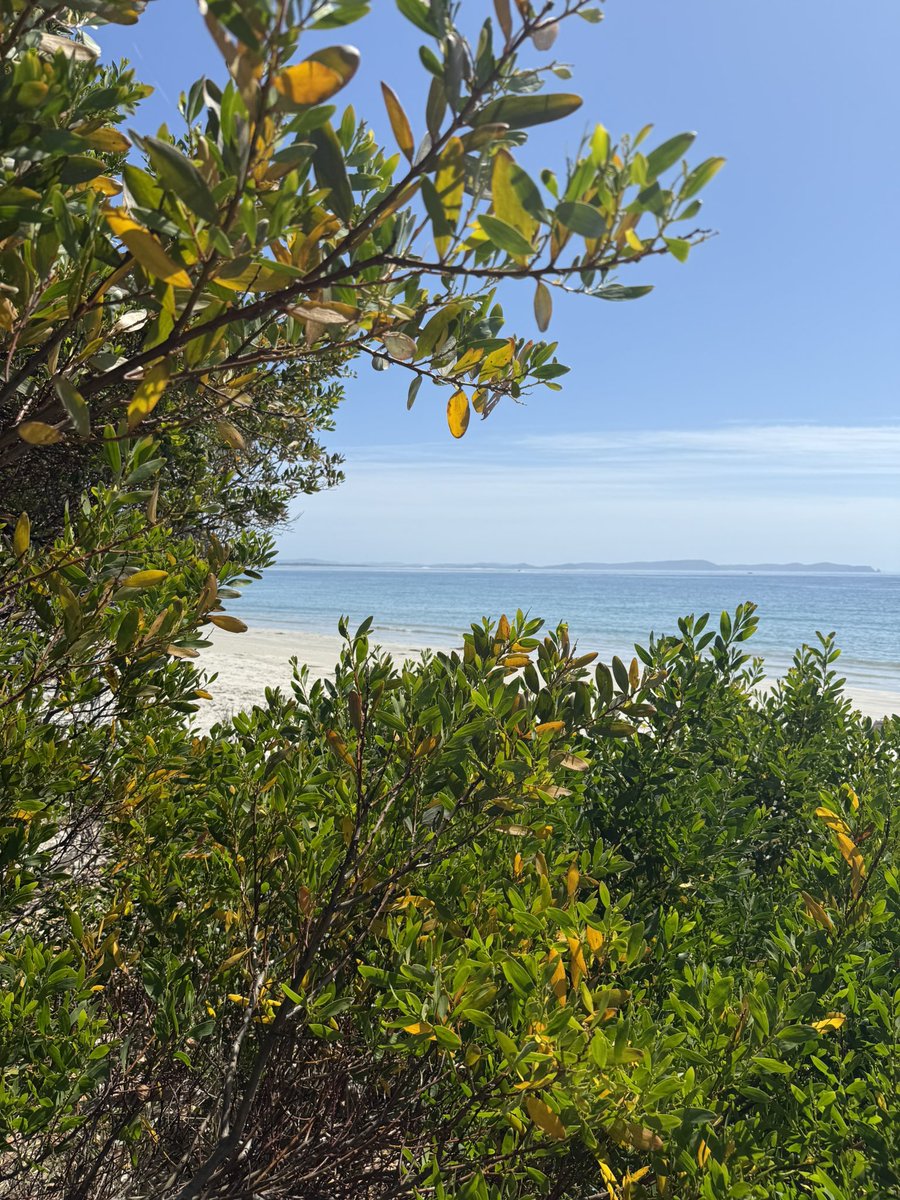 Alagappan Muthu tweet media