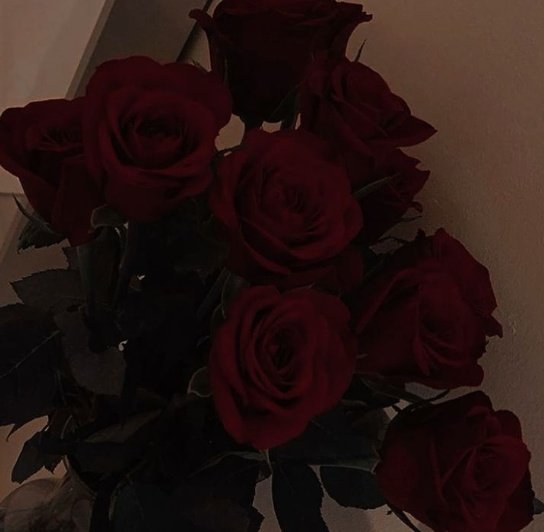 Pretty__lime's tweet image. —mini au #meljae/ #jaelissa onde ;
Melissa confunde as contas e acaba revelando o crush que tem em Jae

Se floppar eu apago e me finjo de sonsa