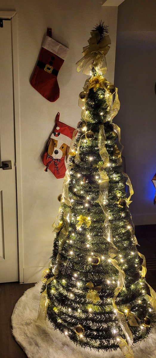 DaShmoo2's tweet photo. Papa put the tree up for Christmas, and I got a lot of treats and toys... https://t.co/xfGDvyltLx