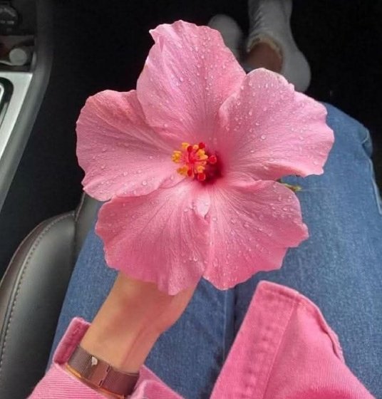 Pretty__lime's tweet image. —mini au #meljae/ #jaelissa onde ;
Melissa confunde as contas e acaba revelando o crush que tem em Jae

Se floppar eu apago e me finjo de sonsa