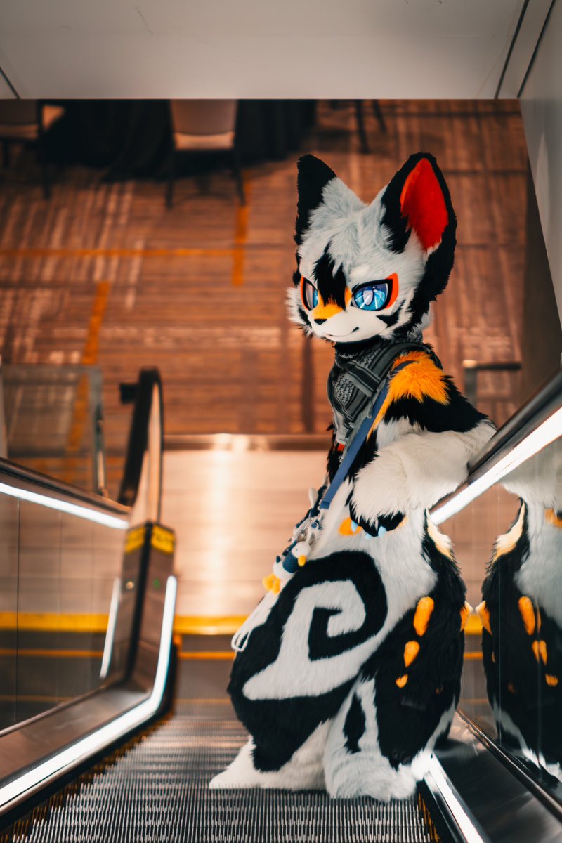 #FursuitFriday
📷：<a href="/Jasonhisto54563/">Jasonhistoria</a>