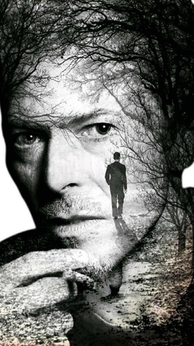 David Bowie 8-1-1947/10-1-2016

Never forgotten, always in our heart 💔⚡️👨‍🎤