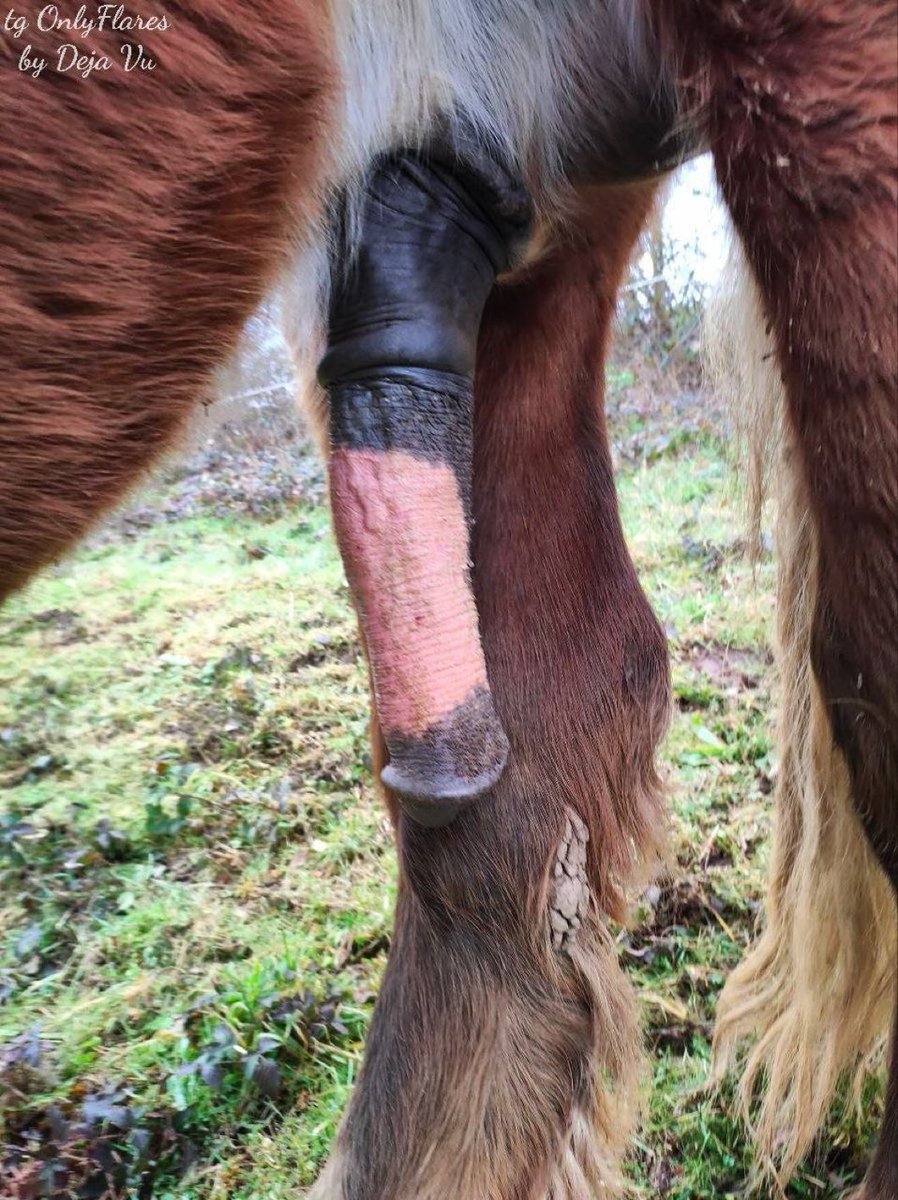 Harley Quinn (@harleyquinn0485) on Twitter photo 