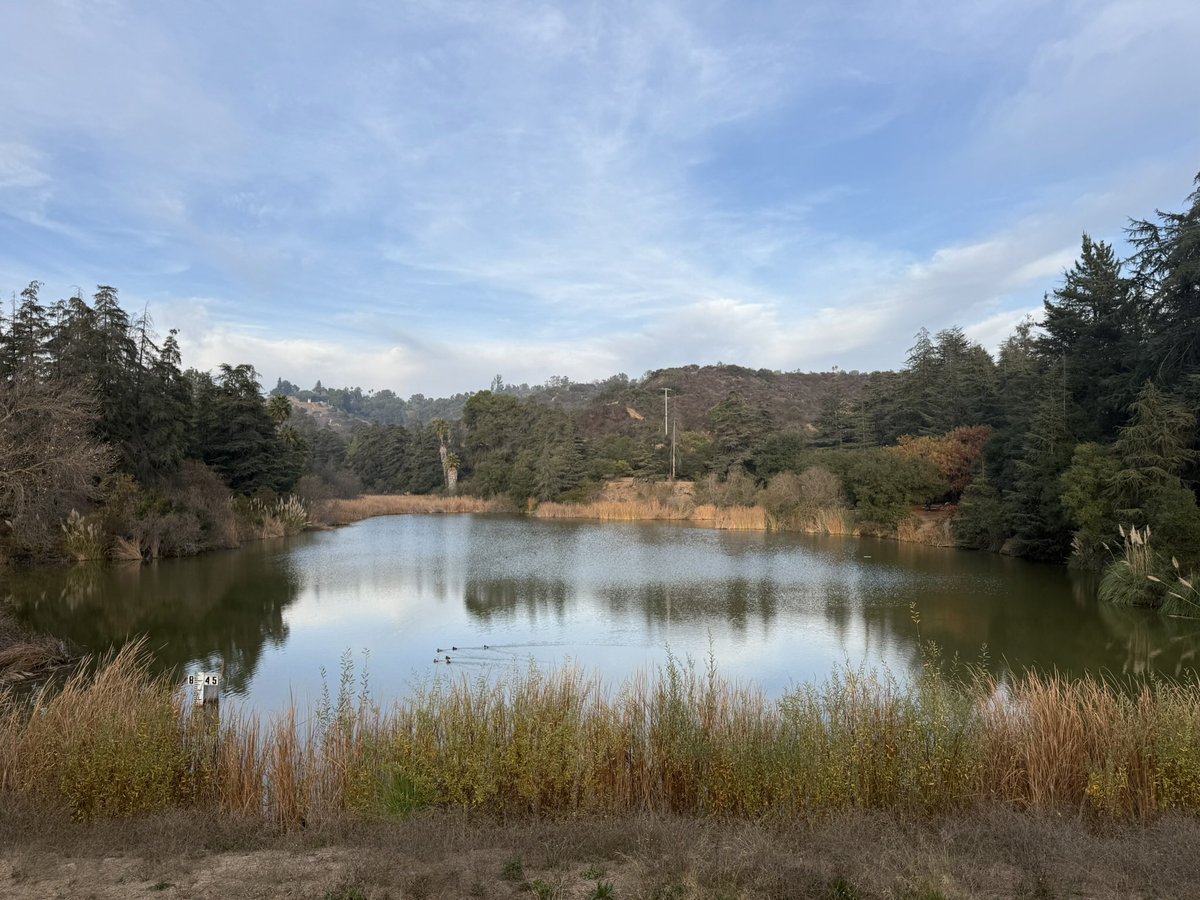 I just want to wish everyone in the city of angels love and strength! I just got an evacuation alert which is surreal! 

I still plan on going live on Twitch Friday at 5pm PST to talk, be an outlet, and vibe with my fram just for support. In hard times framily means the most!