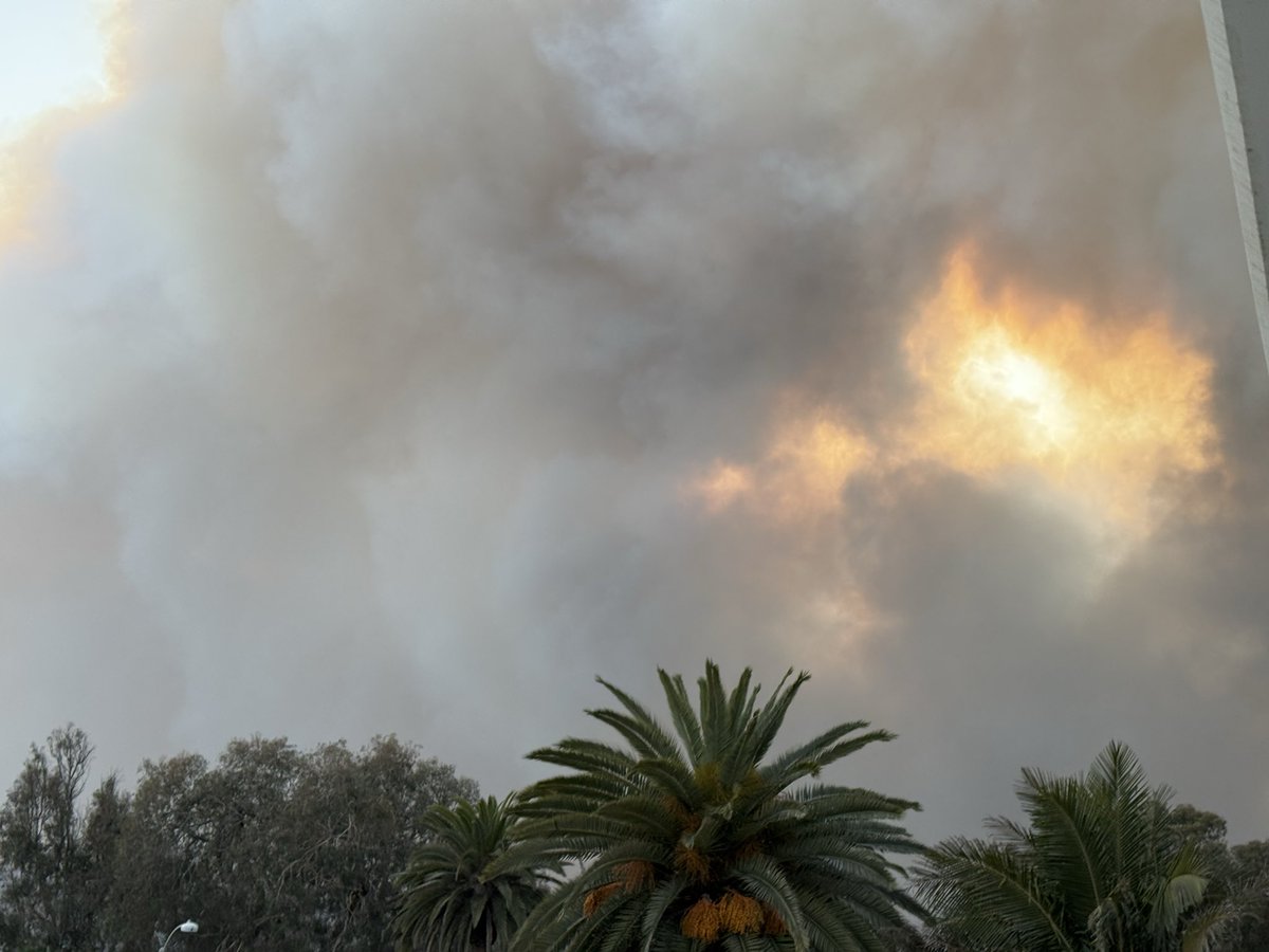 ShariKarney's tweet photo. Hi All, 
We were evacuated due to the Palisades Fire. It’s been an intense and surreal experience—people fleeing their cars and running in the streets. It’s truly been a nightmare. Smoke and ash everywhere. Thank you all for your continued love, support and kindness. Grateful. https://t.co/re98Y6VOJu