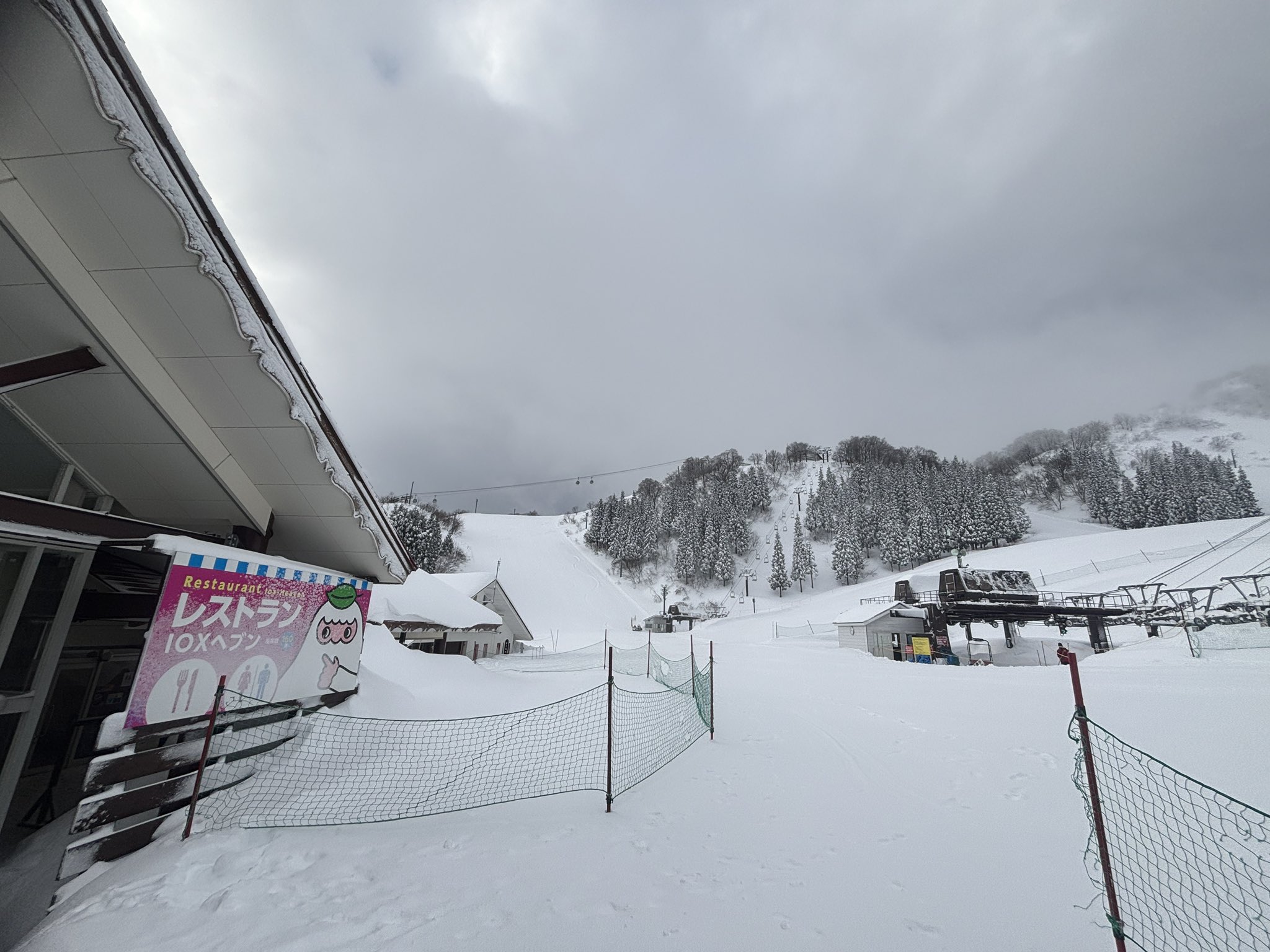 イオックスアローザ スキー場 一日券引換券