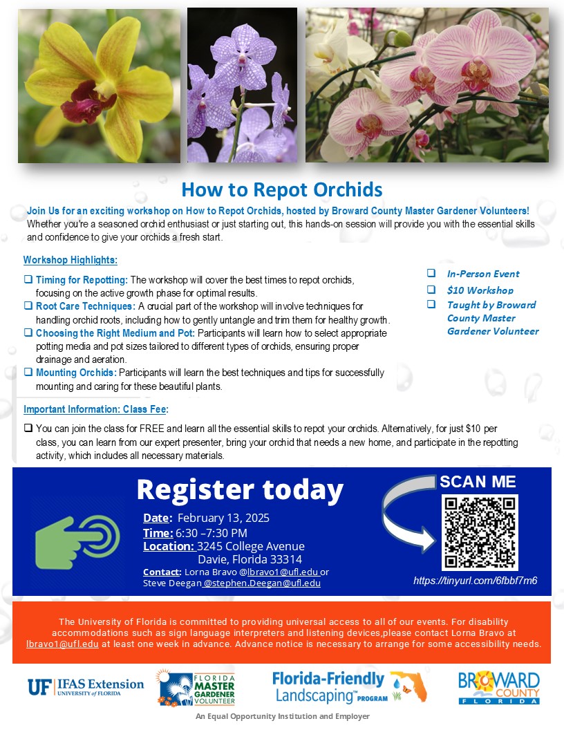 Join us on February 13th for an exciting Orchid Repotting Workshop

 🌼 Workshop Options:

FREE attendance: Learn essential orchid repotting skills.

$10 Hands-On Class: Expert guidance, bring your orchid, all materials provided.
eventbrite.com/e/how-to-repot…