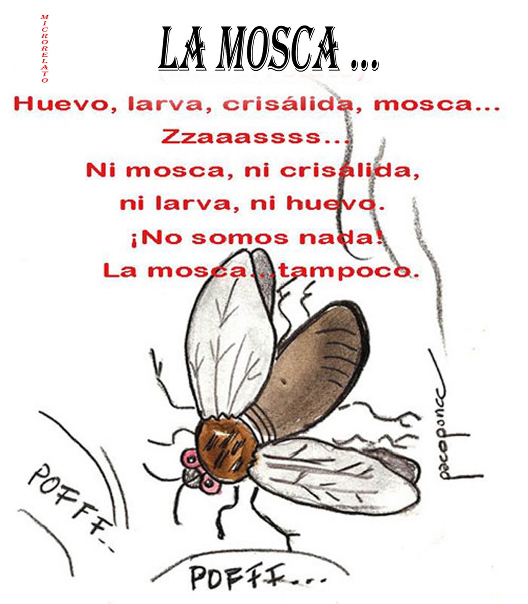 _FranciscoPonce's tweet photo. Persiguiendo a la mosca… Francisco Ponce
Pinchar aquí: https://t.co/OevslYp2lj
También en: https://t.co/J2KJ0Vgk4L
GRACIA. https://t.co/ySTY2LryAd