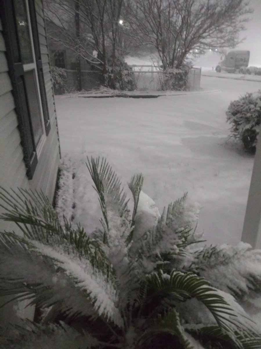 Dallas snow 2008
Greenville snow 2022
Hope to add to this tomorrow 🤞❄️🤸‍♂️