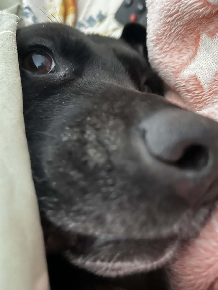 comicbookdays's tweet image. He heard you were talking shit