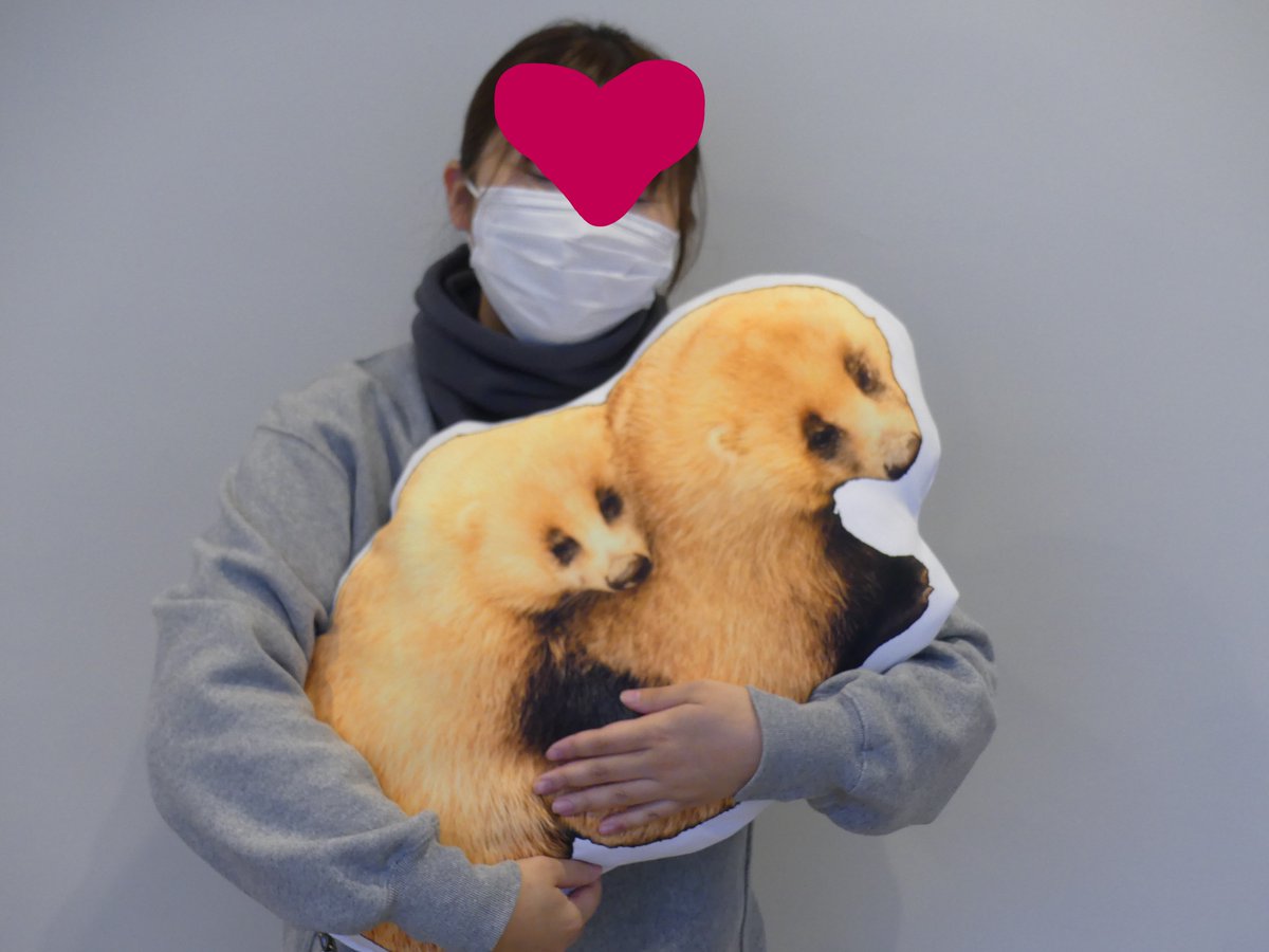 届きました！並べました！さあ、待ちに待った実物大ニホンアナグマ