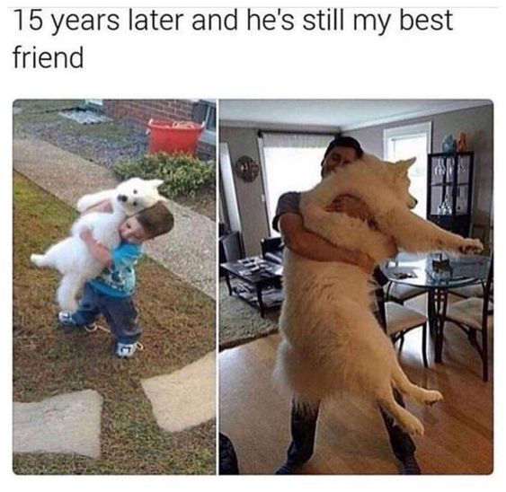 WholesomeMeme's tweet photo. https://t.co/OwMCHK6J40