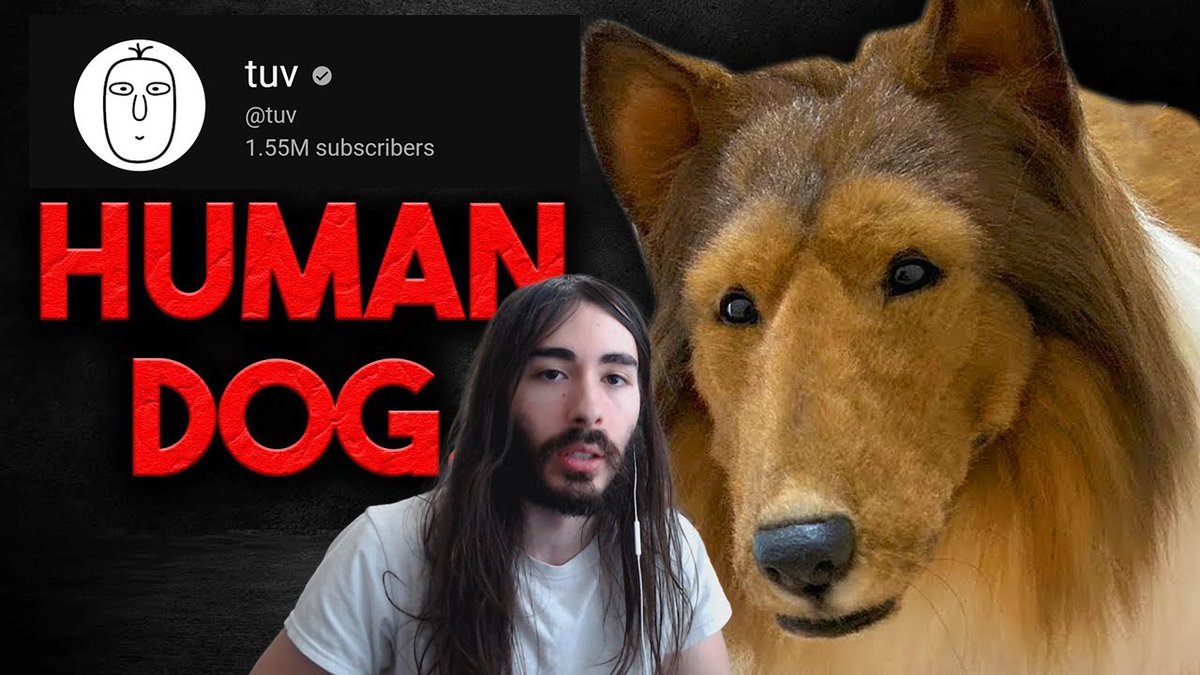 TOCO トコ 🐶 $TOCO tweet media