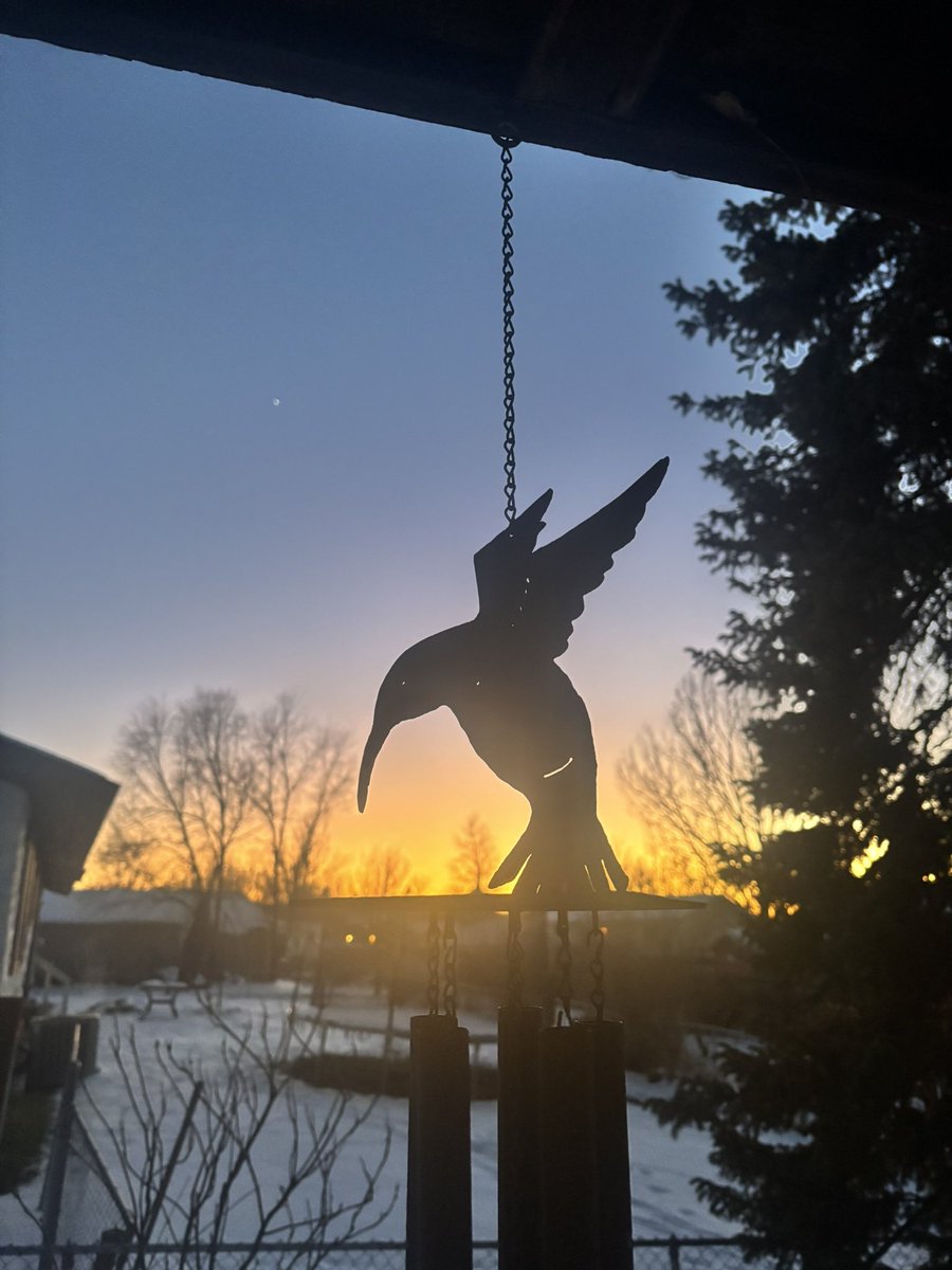 MarkOneBird's tweet image. Only hummingbirds this time of year. 🤠