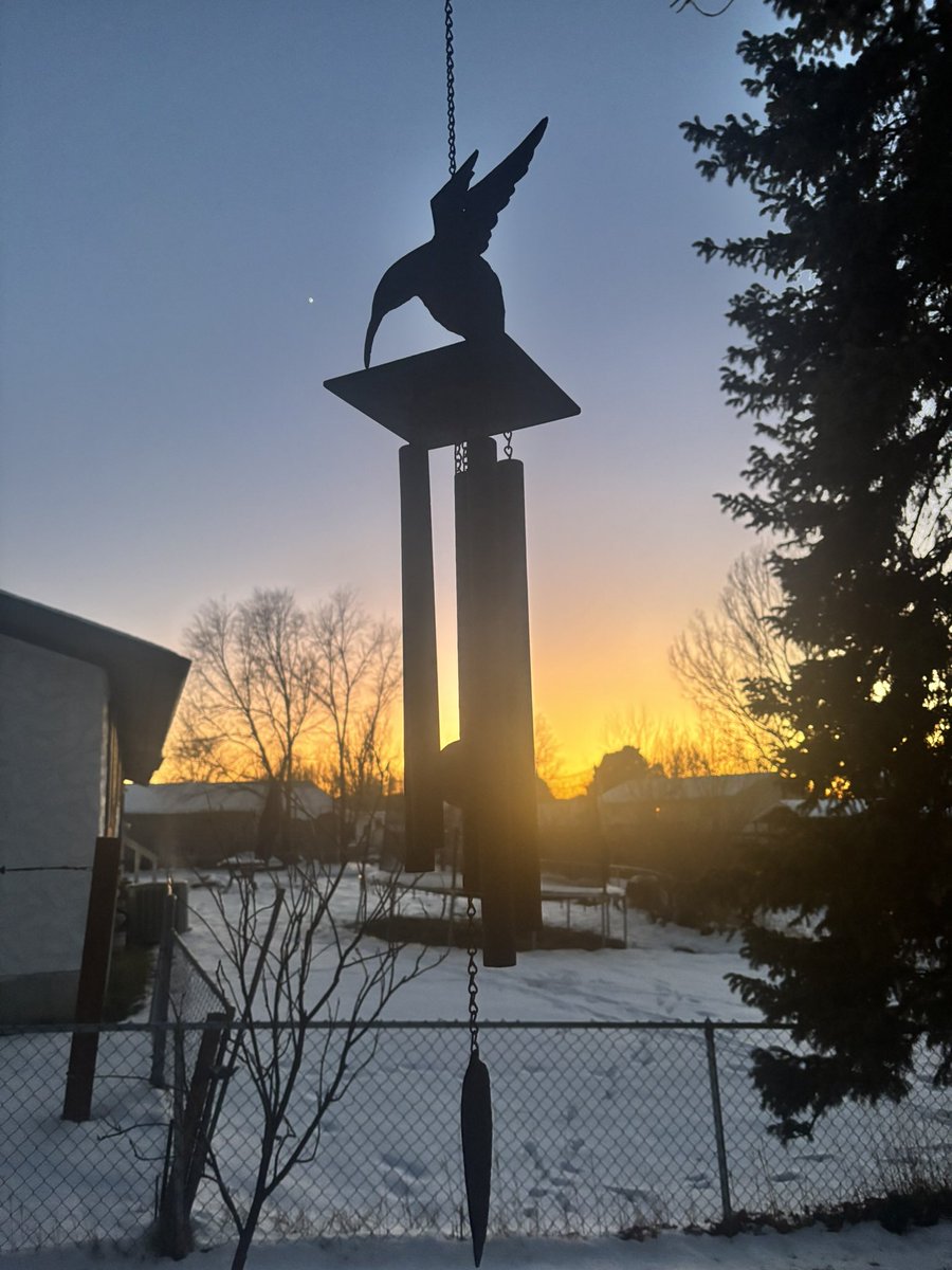 MarkOneBird's tweet image. Only hummingbirds this time of year. 🤠