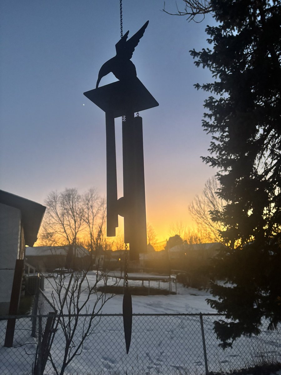 MarkOneBird's tweet image. Only hummingbirds this time of year. 🤠