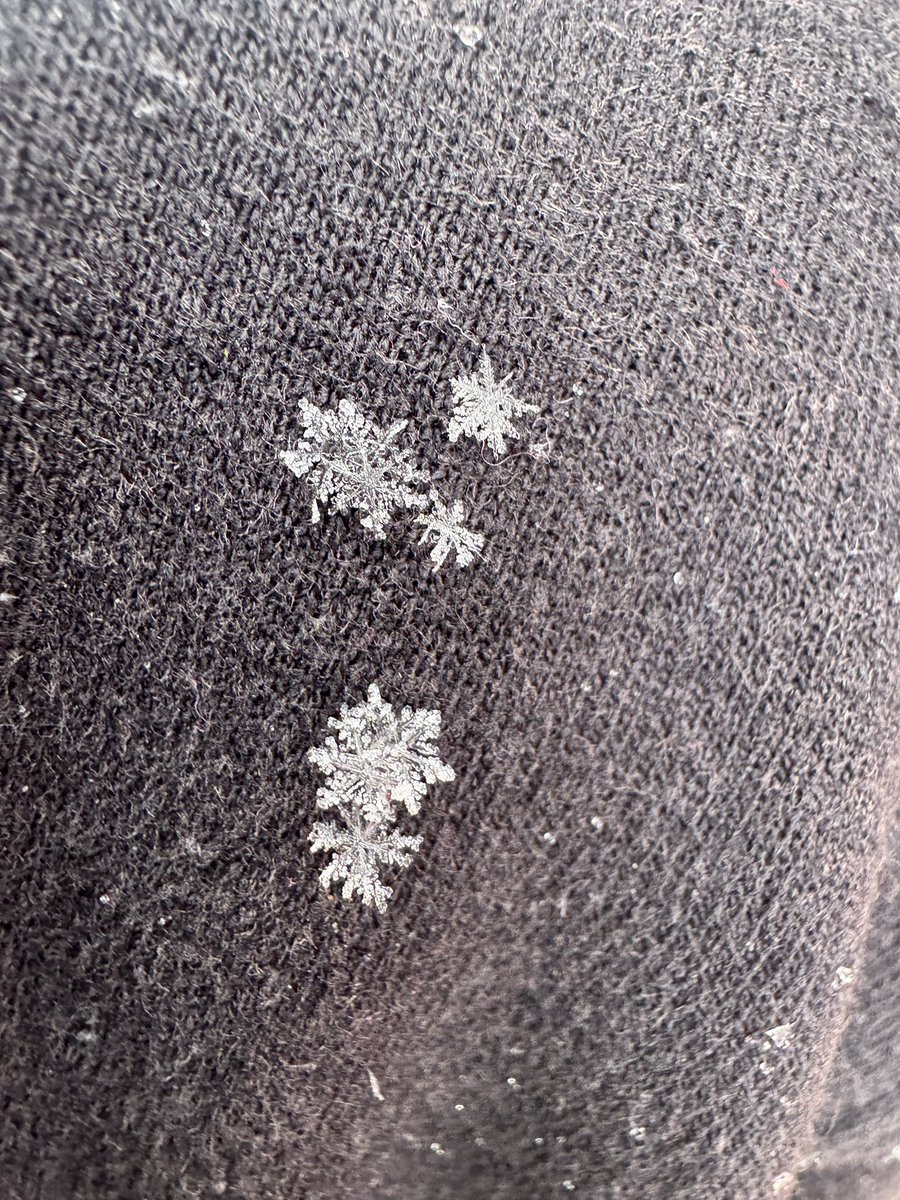 Maria Natera tweet media