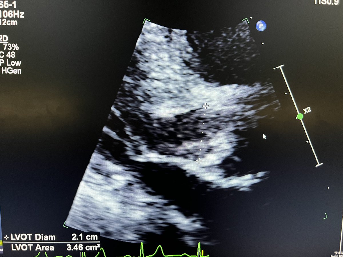 Bianca Coelho tweet media