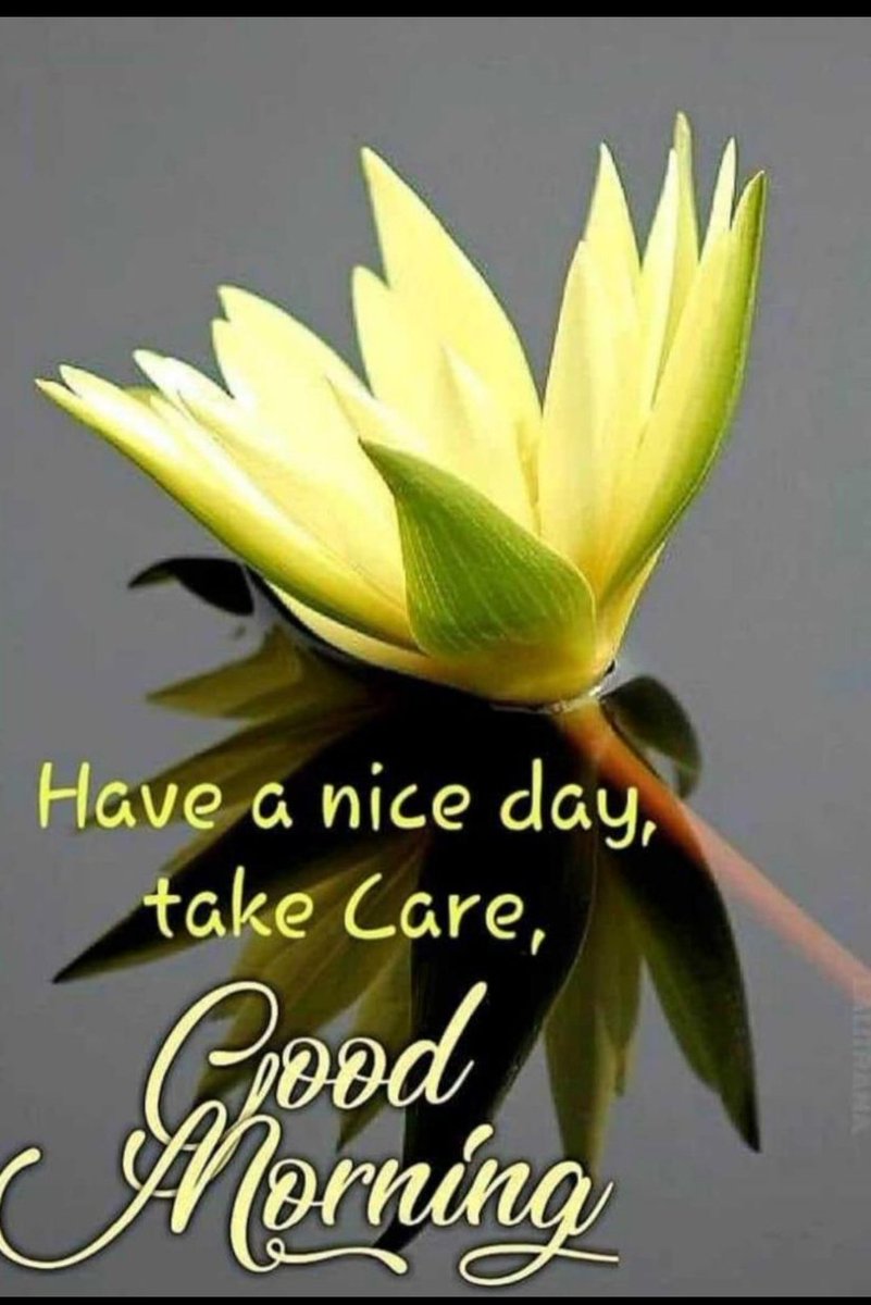 🌹السلام علیکم 🌹
🌹 Good Morning 🌹

A good heart can win many relationships;A good nature can win many good hearts!