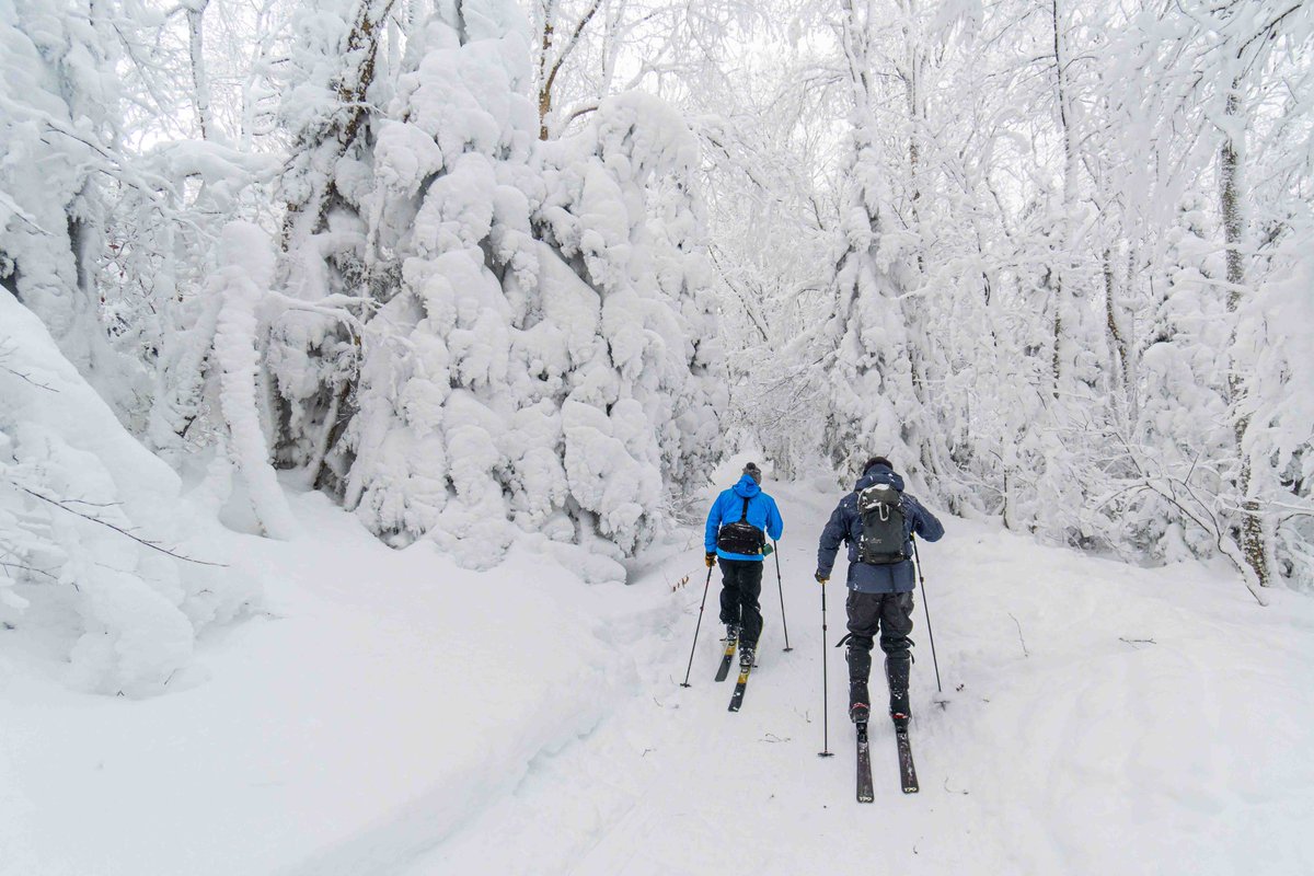 TuckerCounty_WV (@tuckercounty_wv) on Twitter photo The past week has been a #winter doozy! <a href="/capitalweather/">Capital Weather Gang</a>
We are closing in on three feet of snow with more on the way this #weekend. Time for that last minute getaway to Davis, Thomas and Canaan Valley.
#gettuckered The past week has been a #winter doozy! <a href="/capitalweather/">Capital Weather Gang</a>
We are closing in on three feet of snow with more on the way this #weekend. Time for that last minute getaway to Davis, Thomas and Canaan Valley.
#gettuckered