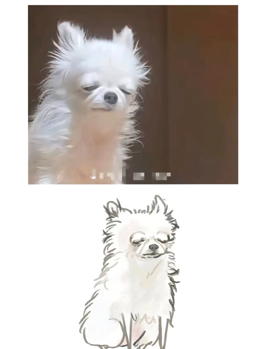 💖 (@twaniimals) on Twitter photo 