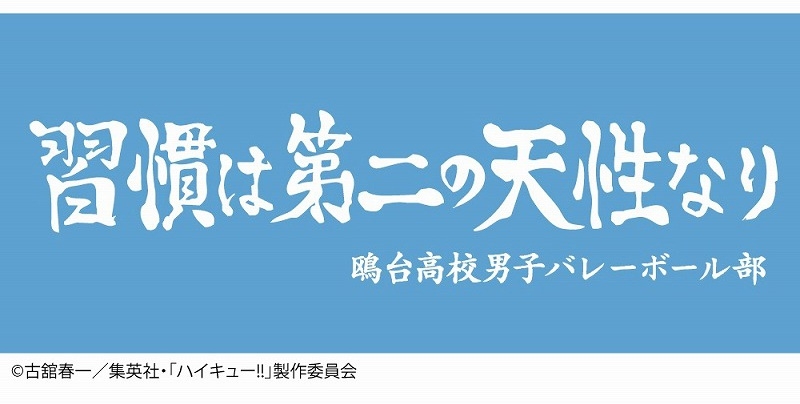 2025年4月発売予定 ハイキュー!! 横断幕 タオル 鴎台高校 ・ハンド