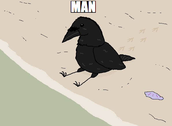 <a href="/DailyCorvids/">Corvids Daily</a> Sillies