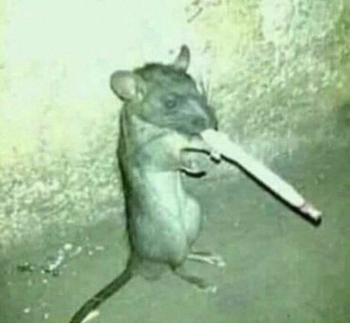 insane poses (@insaneposes) on Twitter photo 