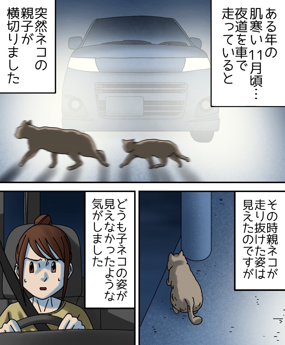 川に落ちたネコを救出してくれた人の話 1/3 