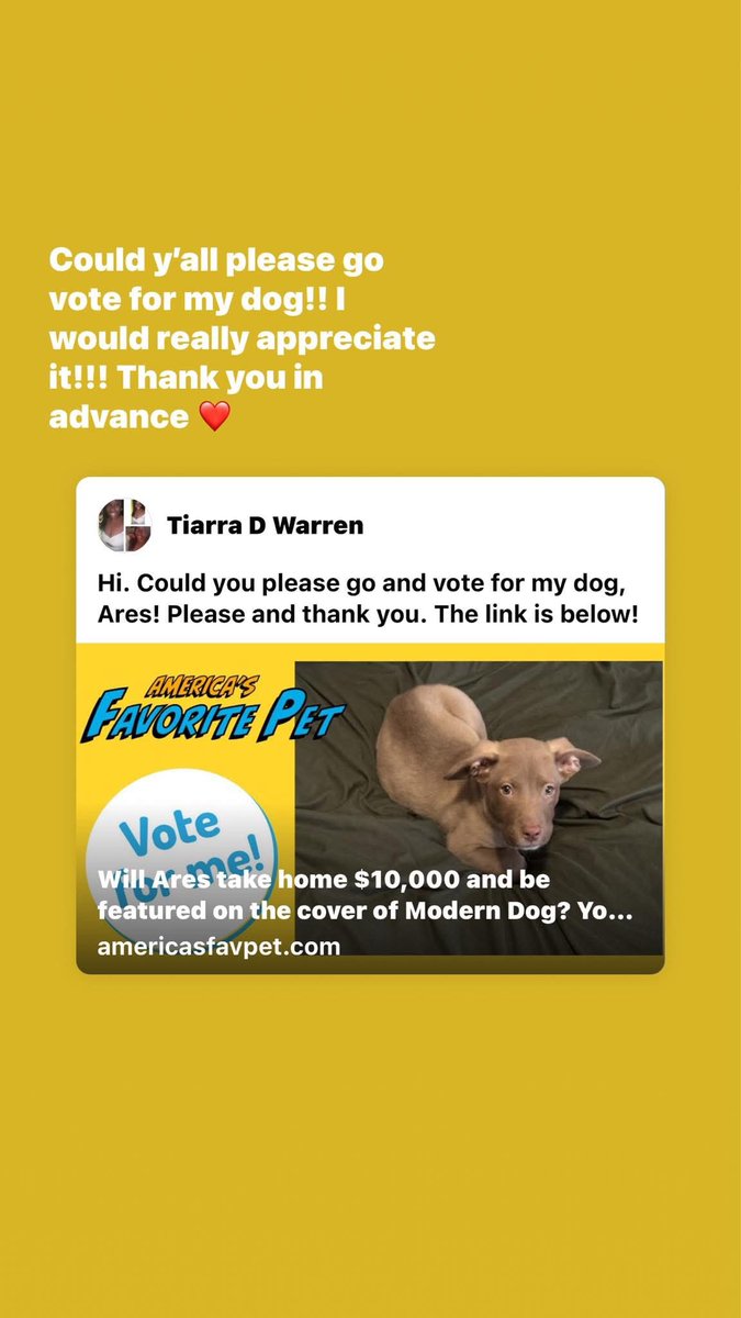 _Prettycurls's tweet image. Please go and vote for my dog!!! 

americasfavpet.com