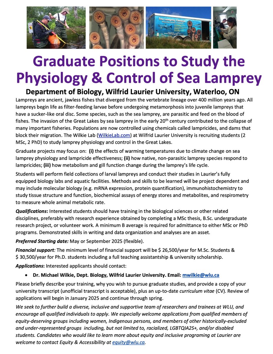 Graduate opportunities in the Wilkie Lab @ #LaurierBiology! Both #MSc and #PhD students being recruited, with Sept/May 2025 starting dates! Application info below! Please RT!
