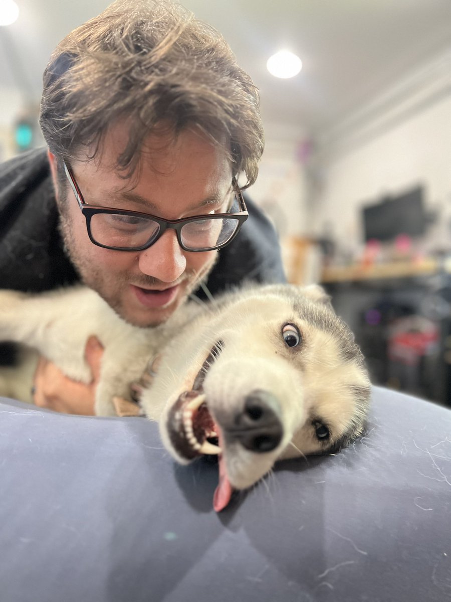 Zelda got heartworm. It will kill her if we don’t go through an expensive treatment. We’ve spent over $1500 in the last 2 days on medical treatment for the dogs and we are stretched too thin. We are designing a shirt to help us pay the bill.