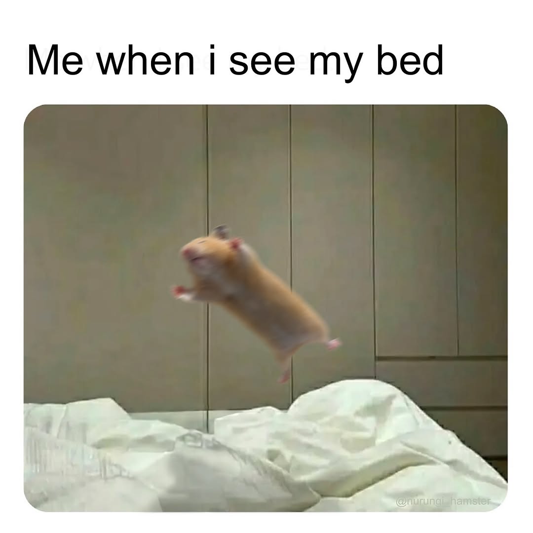 Tweets Of Hamster tweet media