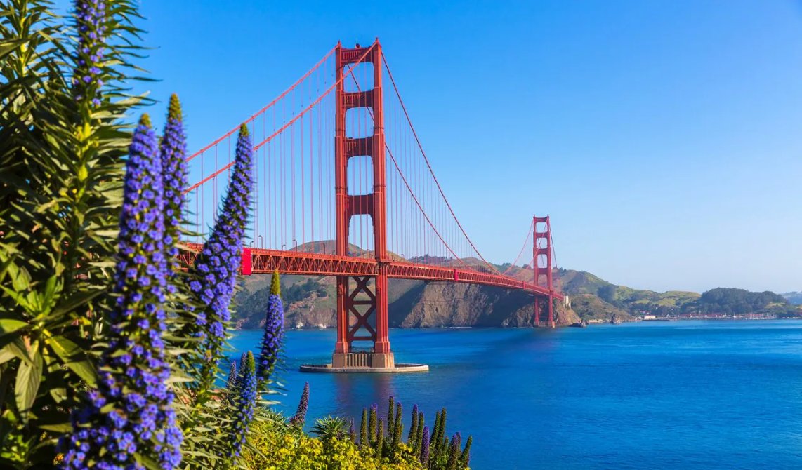 Every season is a brand new beginning, for endless growth, endless innovation!

Today our co-founders <a href="/avestime/">Salman Avestimehr</a> @aiden_coai and operation head Whitney walked along the Golden Gate Bridge in San Francisco to discuss building a more open, equitable, and trustworthy decentralized AI