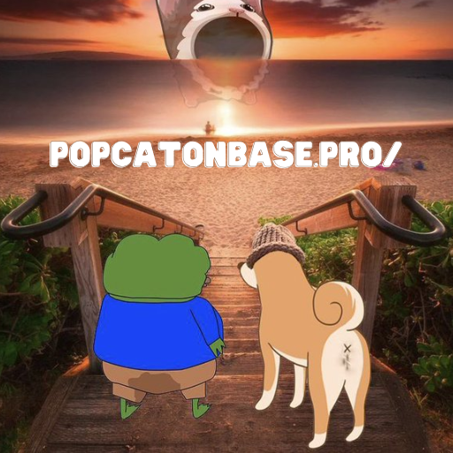popcatcoinbase's tweet photo. Popcat is the next and future https://t.co/wmlWEYYjH9