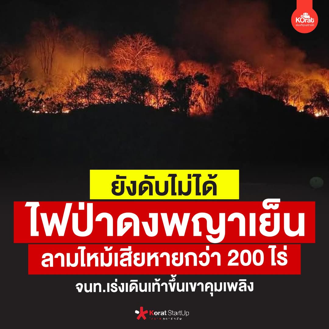 ไม่ใช่แค่ LA นะตอนนี้ไฟป่าที่บ้านเราก็มีที่เขาใหญ่ แถมยังดับไม่ได้แต่ข่าวเงียบมาก ไม่มีช่องใหนประโคมข่าวเลย สัตว์ป่าหนีตายให้วุ่น เจ้าหน้าที่ช่วยกันแต่ก็ยังไม่ดีขึ้น ตอนนี้เงียบมากหน่วยงานรัฐยังไม่ตระหนักไม่รู้นี้จะเป็นการเผ่าเอาพื้นที่หรือเปล่า #ไฟป่า #LosAngelesFire #เขาใหญ่