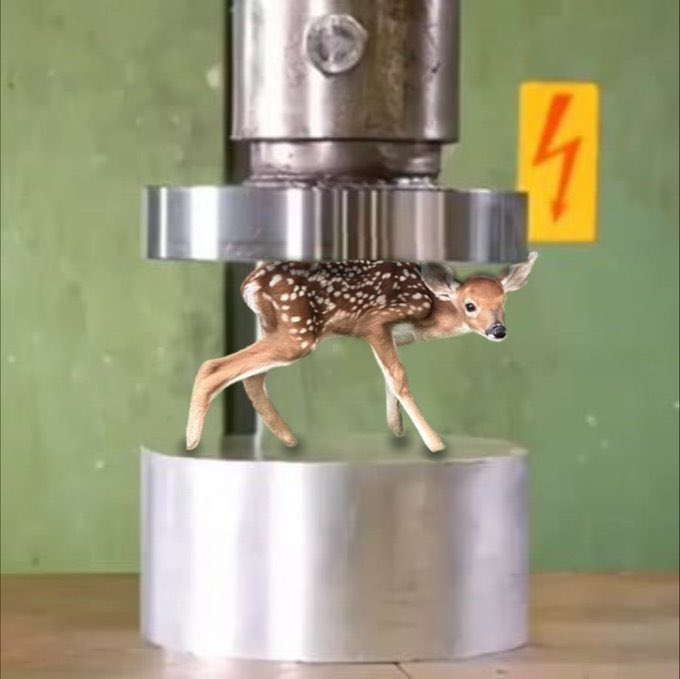deershouldnt's tweet photo. they're doing this to me tomorrow https://t.co/GCmGkXoN90