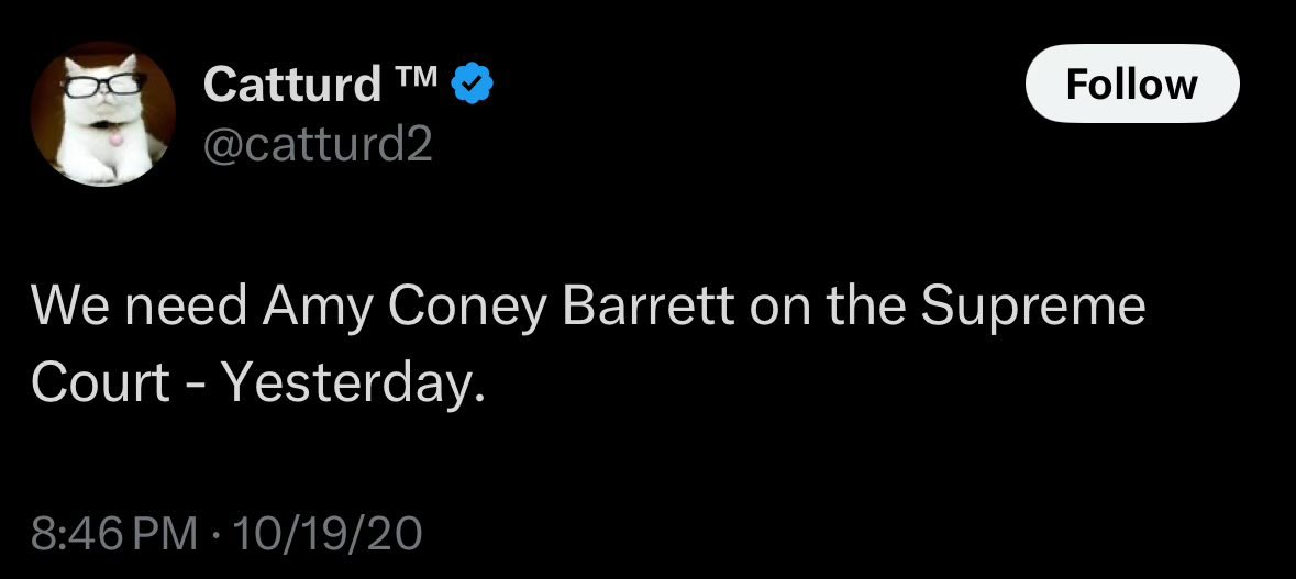 3YearLetterman's tweet image. We have an absolutely incredible entry in our #CatturdVersusCatturd series