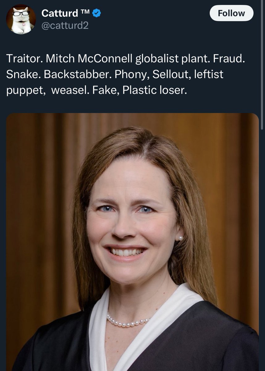 3YearLetterman's tweet image. We have an absolutely incredible entry in our #CatturdVersusCatturd series