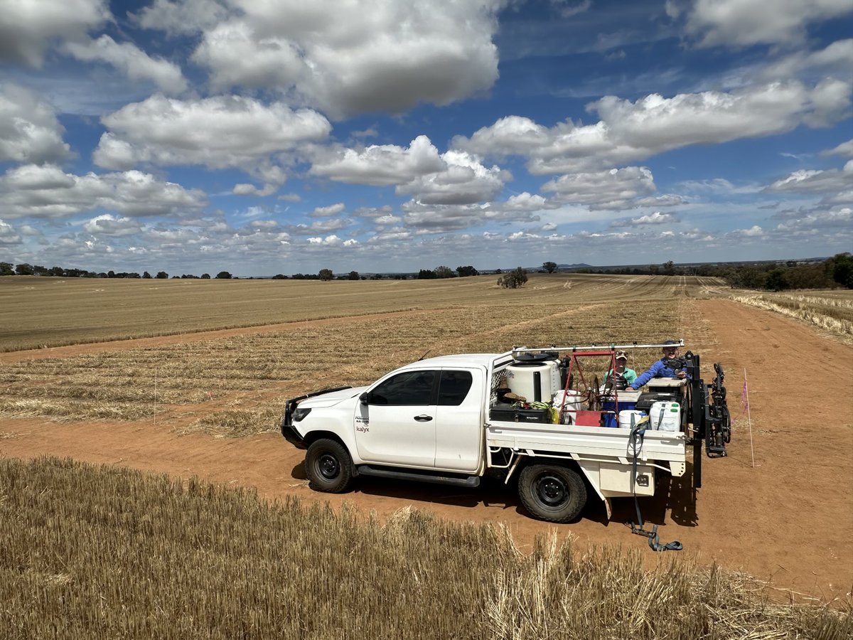 John Kirkegaard tweet media