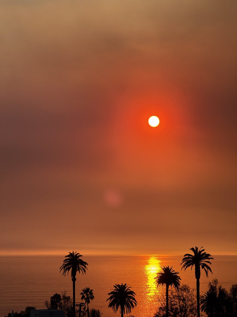 Ben_Katz (@ben_katz) on Twitter photo 