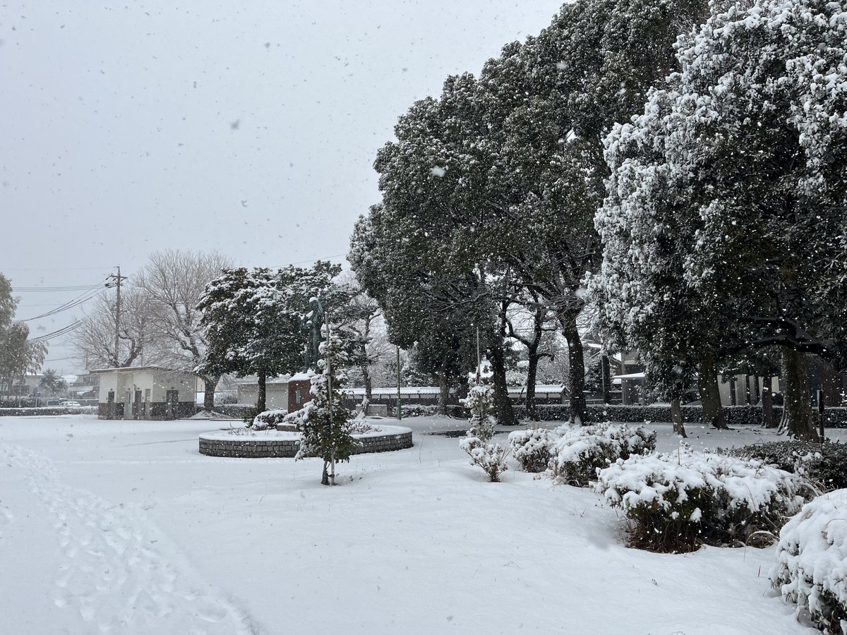 TechAceJP's tweet photo. 近所の公園の雪景色☃️
#techace https://t.co/abw6d0LTSJ