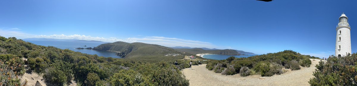 Alagappan Muthu tweet media