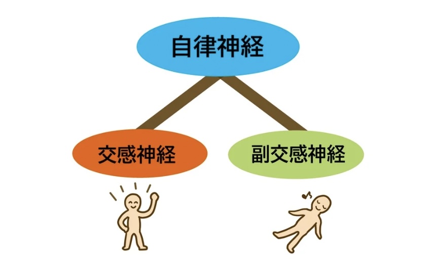 柴 雅仁｜立川 パーソナルトレーナー tweet media